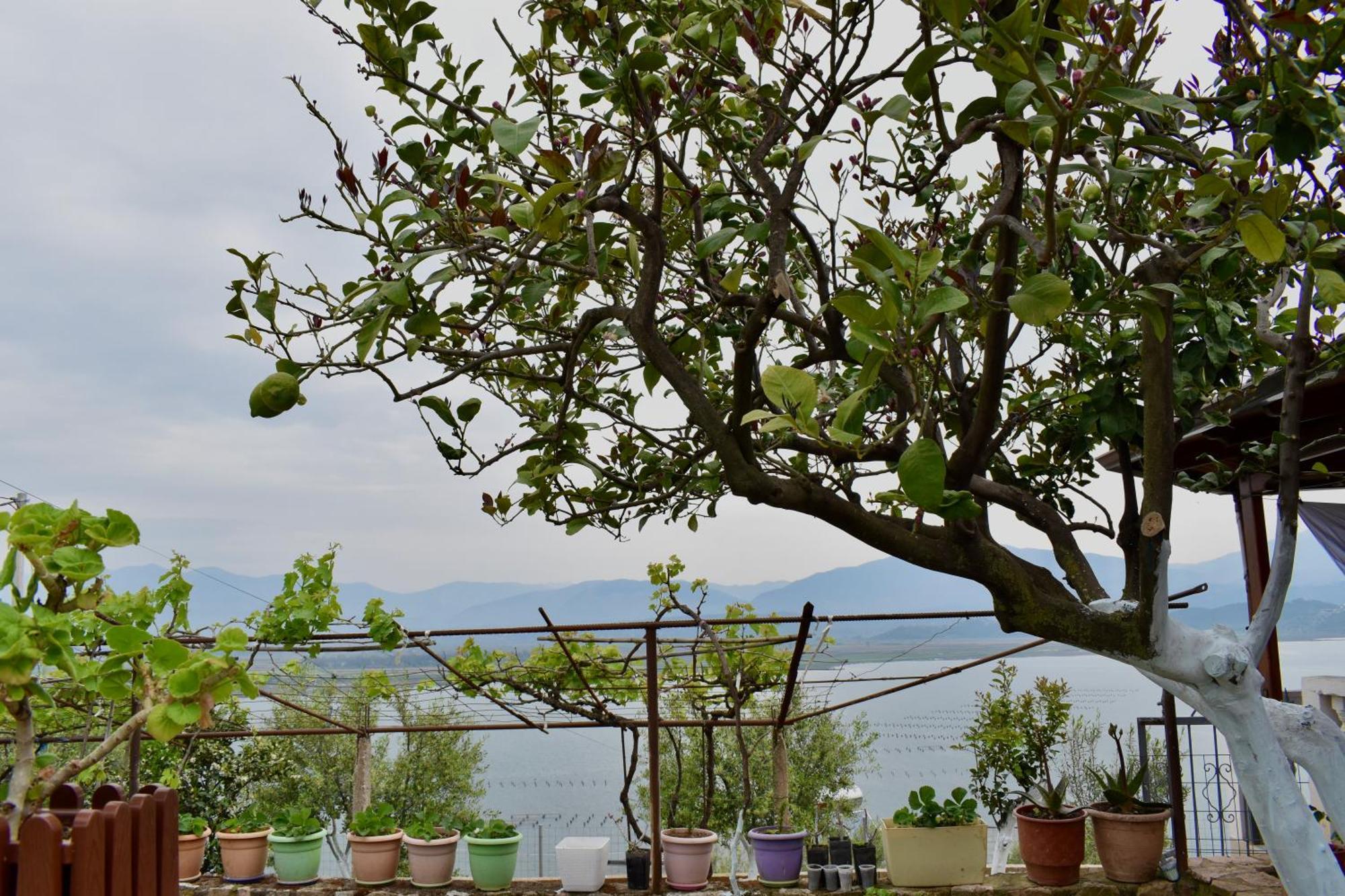 Ksamil Sea&Lake View Escape מראה חיצוני תמונה
